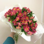 17 красных альстромерий